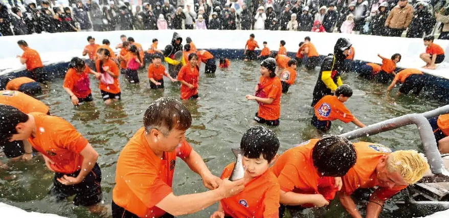 화천-산천어축제-맨손잡기-체험