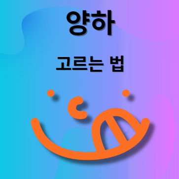 양하 고르는 법