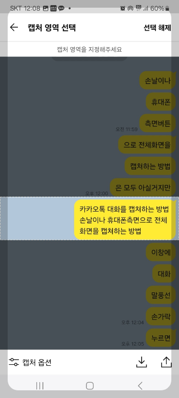 카톡 대화 내용 캡쳐