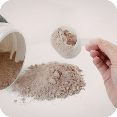 노인 단백질 보충제 추천