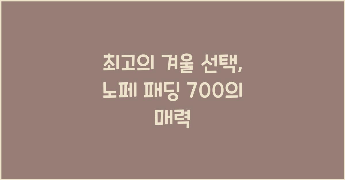 노페 패딩 700