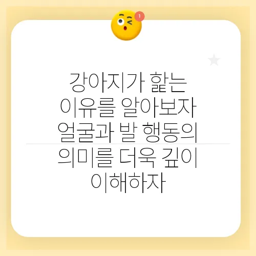 강아지가 핥는 이유를 알아보자 얼굴과 발 행동의 의미를 더욱 깊이 이해하자