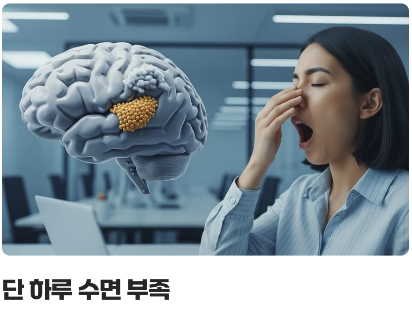 잠 못 이루는 밤, 뇌는 '쓰레기장'이 된다