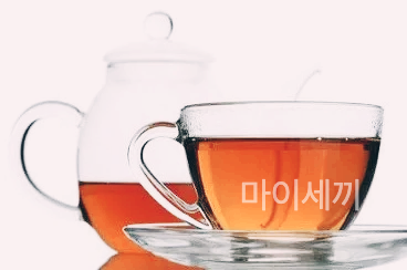 피부건강 결명자차