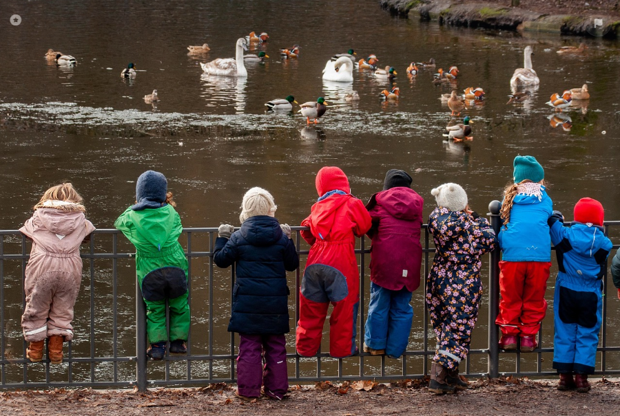 한국과 다른 독일 유치원(feat.숲 유치원)