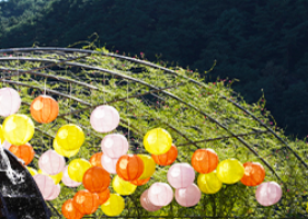 9월 축제: 평창 백일홍 축제 일정과 입장료, 가는 길, 근처 맛집 안내