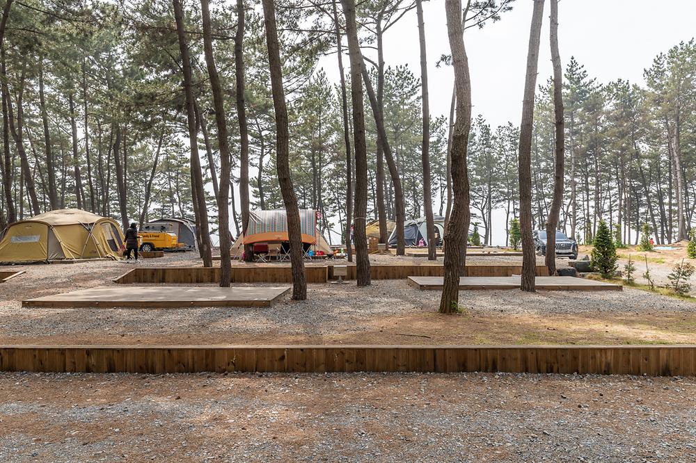 충남 서천 장항오토캠핑장 소개