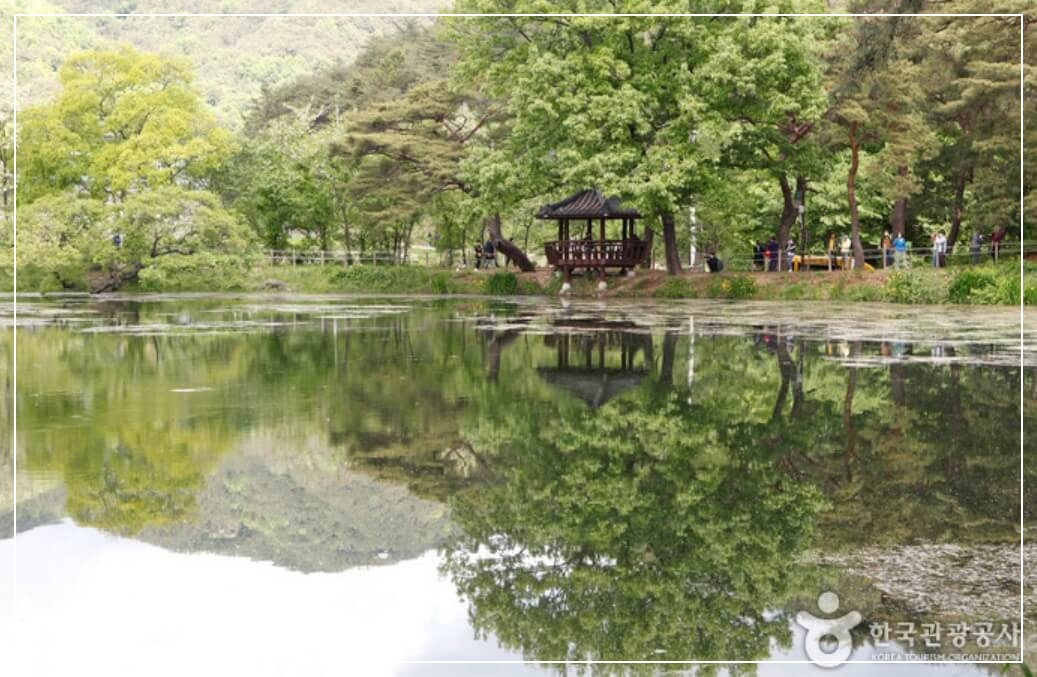 밀양 가볼만한곳 베스트10 위양지(위양못)