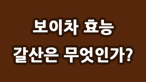 보이차의 효능