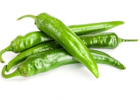 5월에 심는 밭작물