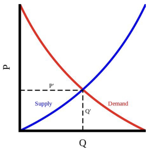 수요와 공급 곡선