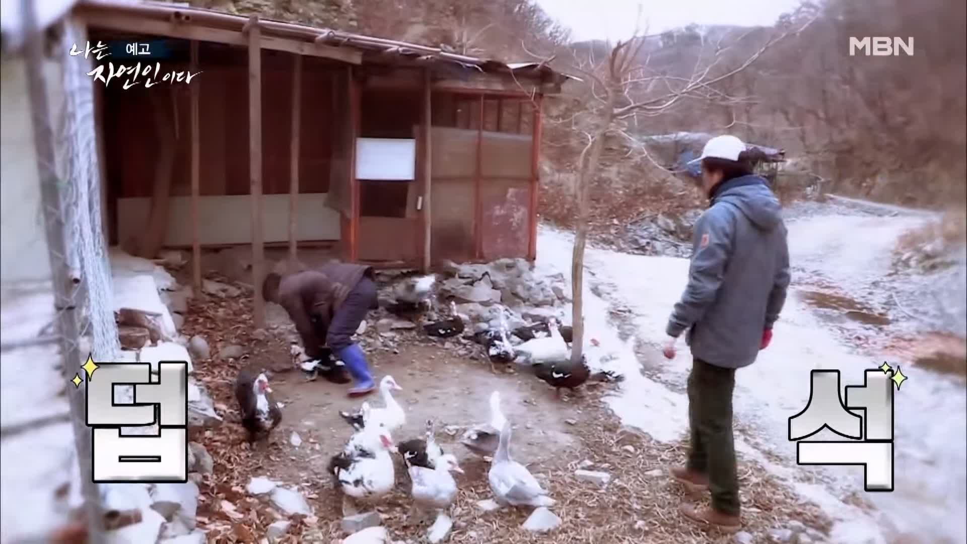 나는 자연인이다 순정 마초의 겨울찬가 자연인 박인태 소개 및 윤택 출연 533회 다시보기