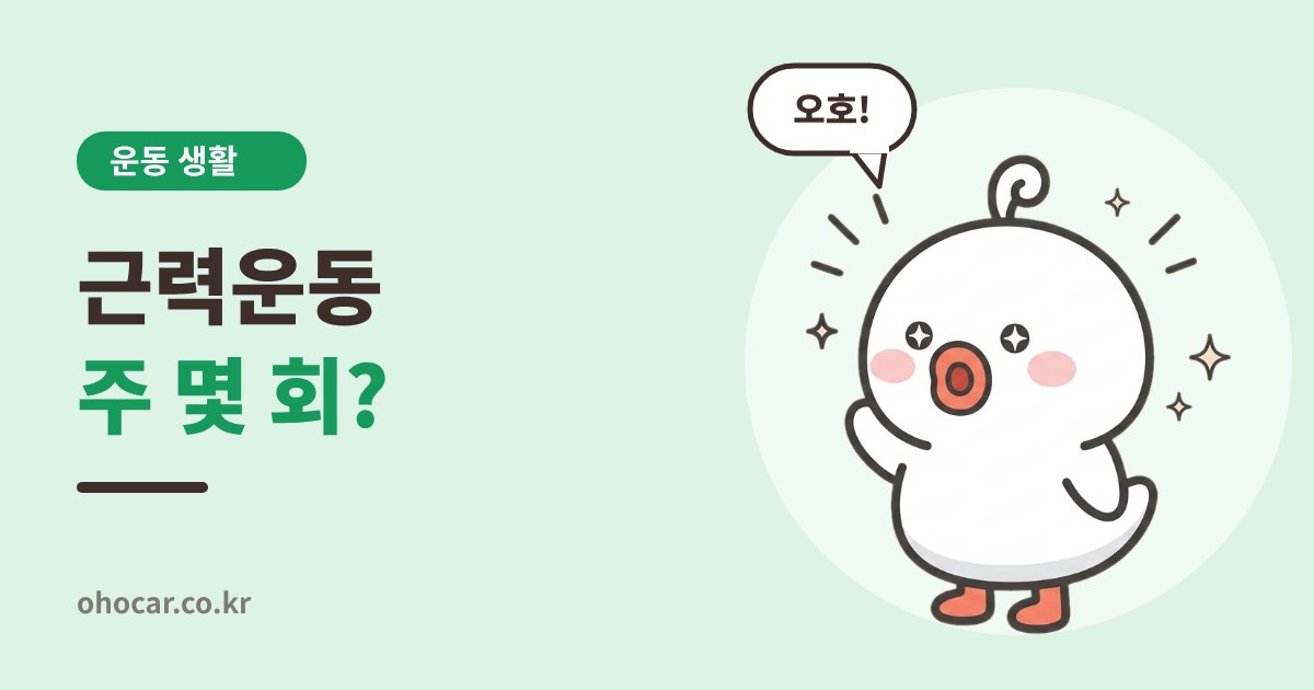 근력운동 주 몇 회가 적당할까
