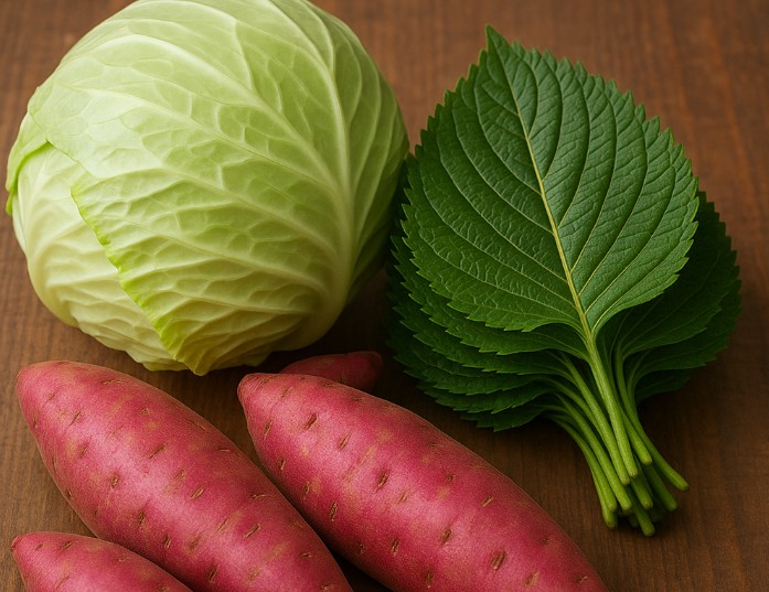 양배추 고구마 깻잎 사진