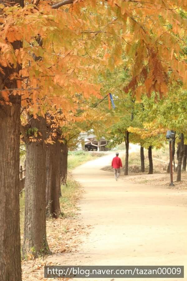 일산 호수 공원 (경기도)