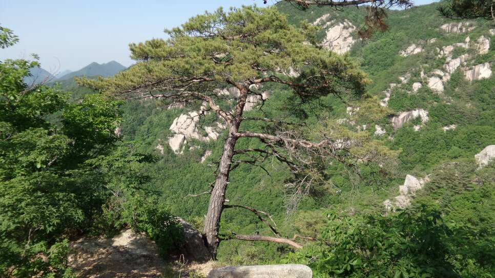 100대 명산 등산하기 마흔여섯번째 단양 도락산 암릉 구간과 기암괴석&amp;#44; 소나무 조망이 우수하며&amp;#44; 도락산 정상에서의 탁 트인 경관이 매력적