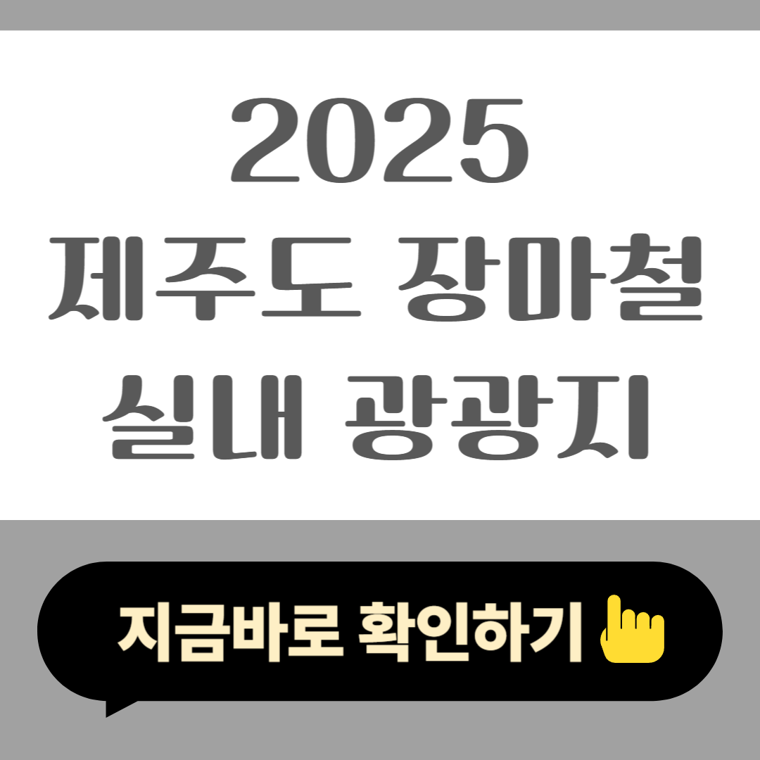 2025 제주도 장마철 실내 광광지