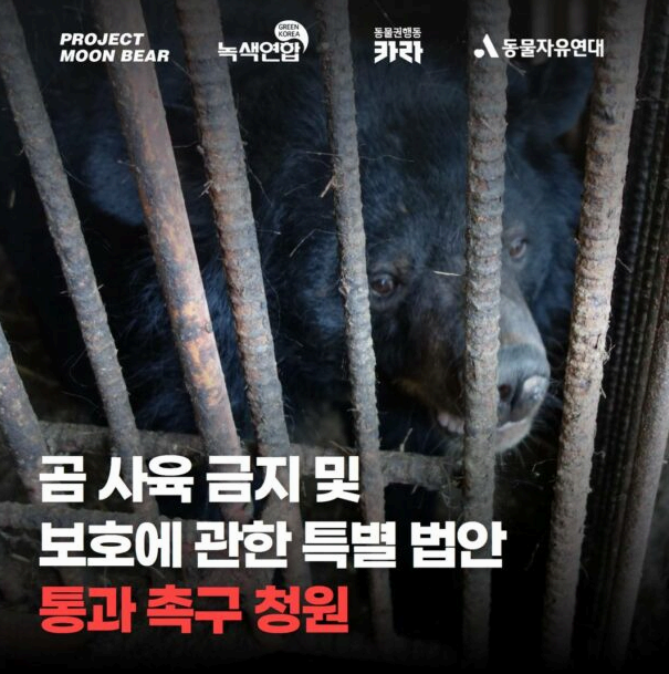 곰 사육 금지 및 보호에 관한 특별법안 통과 촉구 청원