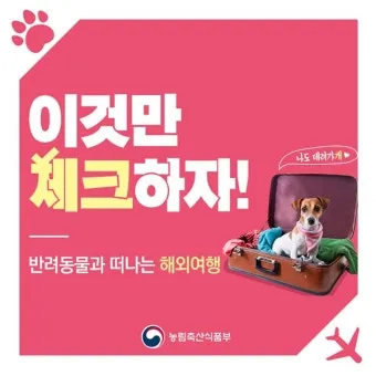 반려동물과 해외여행 기내 직항 펫 전용 준비와 절차_8