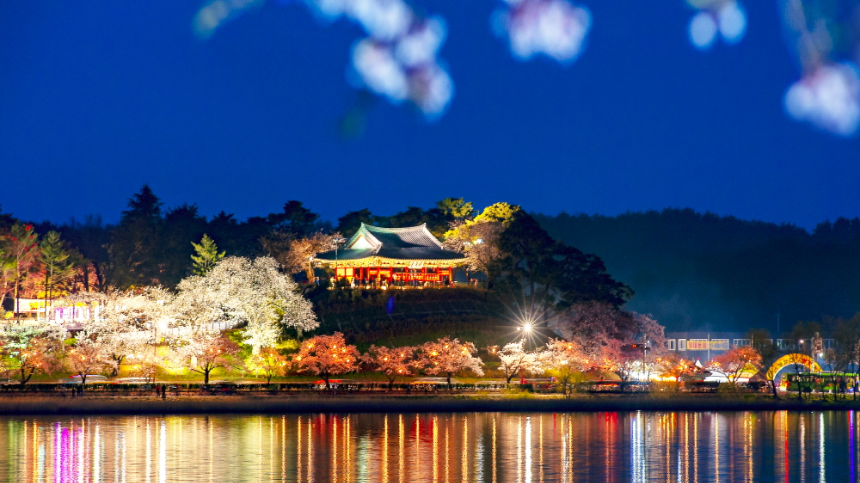 2025년 4월 국내 여행지 추천! 봄꽃과 함께 떠나는 최고의 여행지