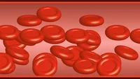 blood
