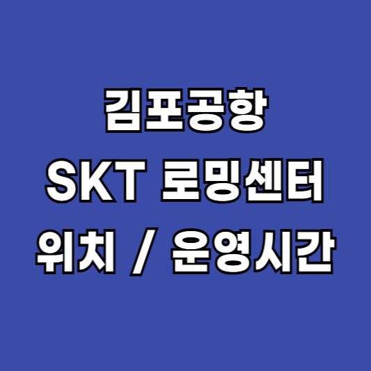 김포공항 SKT로밍센터 유심교체