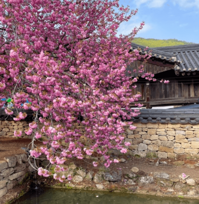 순천선암사