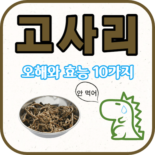 고사리에 대한 내용의 포스팅임을 알려주는 썸네일