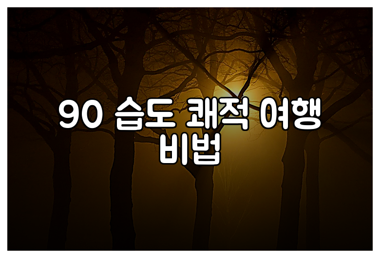 90 습도 쾌적 여행 비법