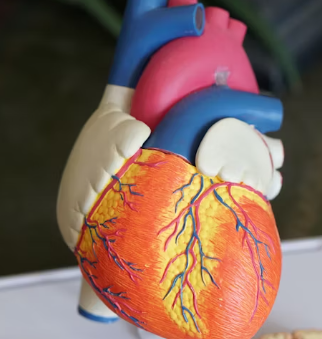 협심증 진단방법 치료법 합병증 예방