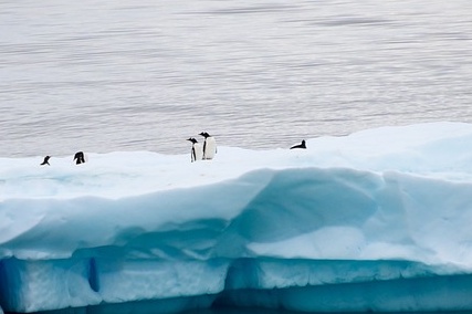 소상공인 50만원 크레딧 지원금! 신청방법 총정리