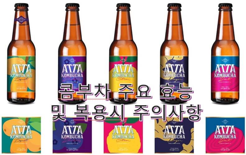 전라남도 농업기술원 차산업연구소에서 개발 콤부차 브랜드 '아따(ATTA) 콤부차'