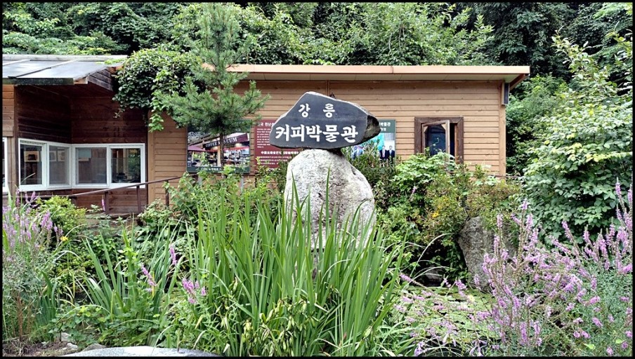 대체텍스트