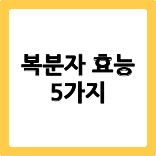 복분자 효능