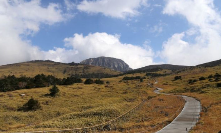 2025 한라산 단풍 절정시기 공개! 가을 초보자 코스 완벽 정리