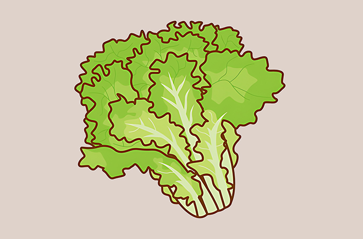 상추-하루-섭취-권장량