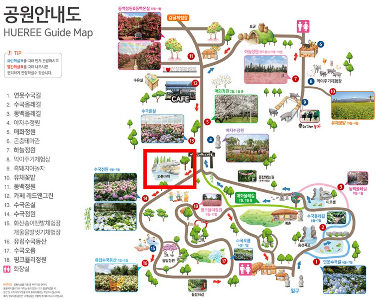 휴애리 수국축제