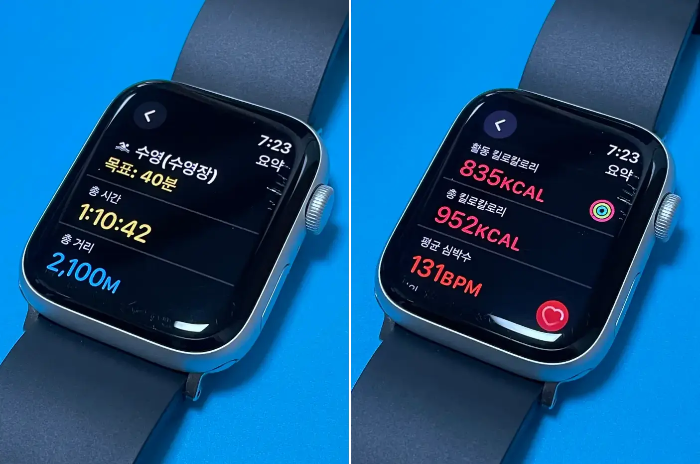 2024년 11월 29일 70분 수영 애플워치 기록