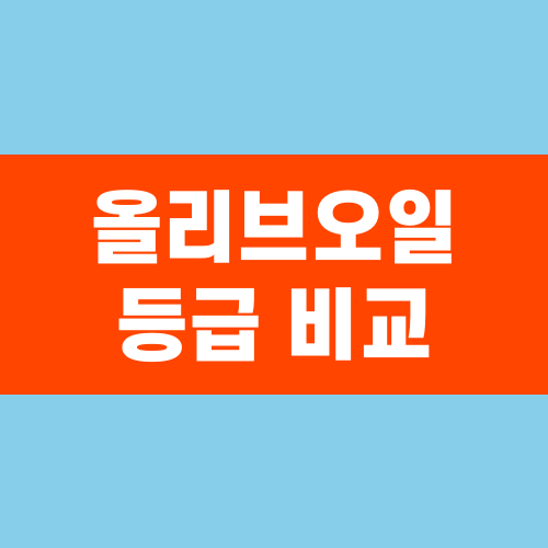 올리브오일 등급 엑스트라버진부터 퓨어까지 비교