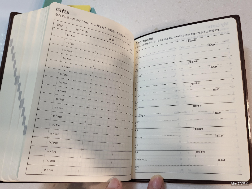 호보니치 뒷 페이지모습