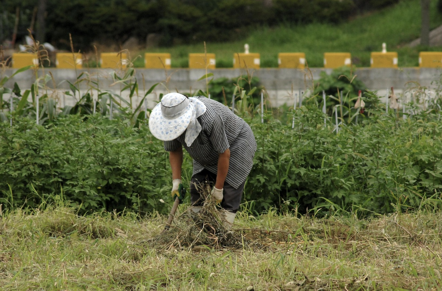 적은 자본으로 귀농하기 - 현명한 시골 정착의 시작