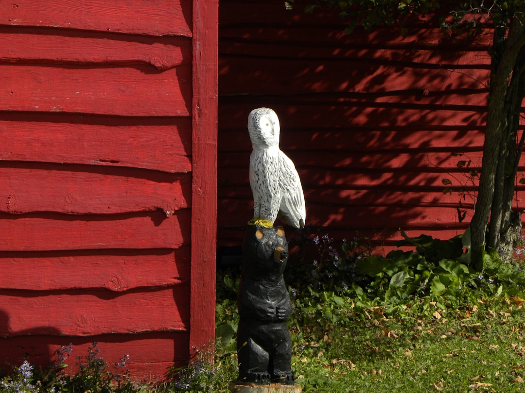 Borrower