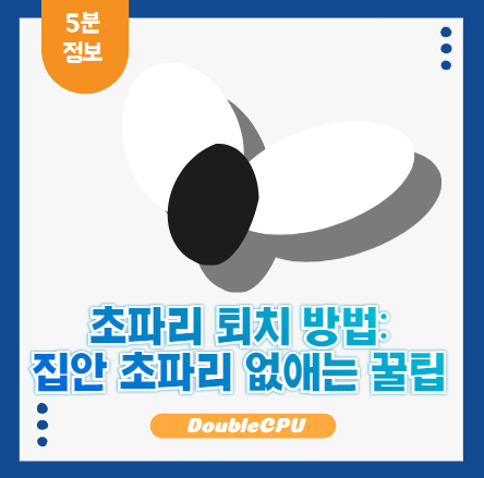 초파리 없애는 방법