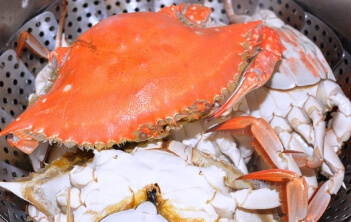 꽃게 찌는 방법 완벽 가이드