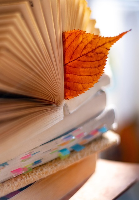 시험에 늦는 꿈·망치는 꿈, 합격하는 꿈까지