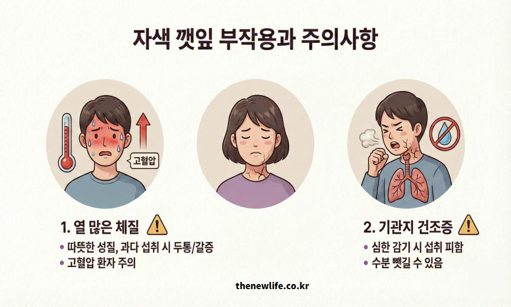 자색 깻잎 효능 섭취 시 부작용 및 주의사항