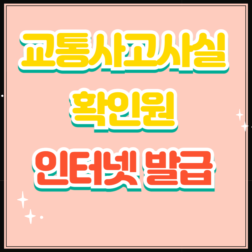 교통사고사실 확인원 인터넷 발급