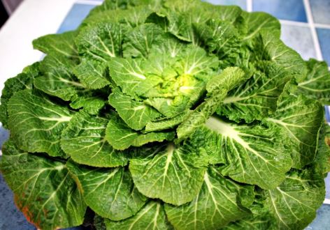 봄동 겉절이 황금레시피