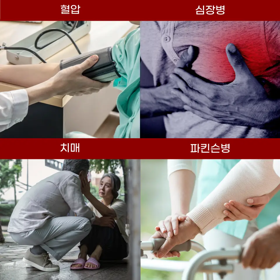 멜라토닌영양제