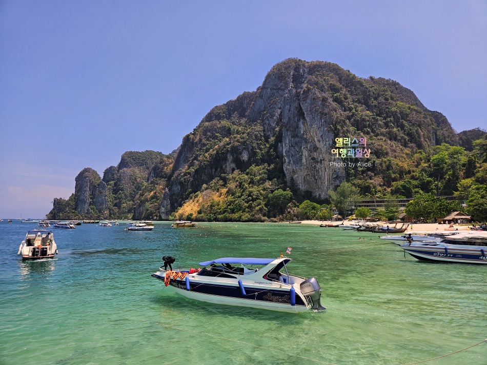 푸켓 스노클링, 피피섬 마야섬 몽키 비치 카이섬 투어 리뷰 코스 가격